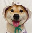 客户头像